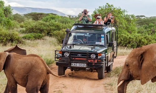 2. Scenic Jeep Safari to Dudhsagar Waterfall