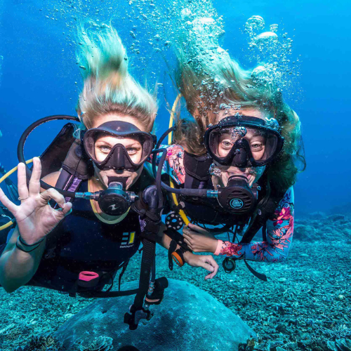 GRAND ISLAND SCUBA DIVING IN GOA